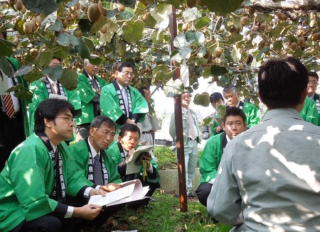 福岡県議会の果樹振興議員連盟の一員として、キウイフルーツの生産や出荷・加工の現状を知るため、全国トップの生産量を誇る八女市を視察。