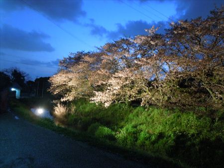 「春らんまん薦野の歴史まつり」に参加。薦野城跡を確認するため城山(標高291.3㍍)にも登りました。